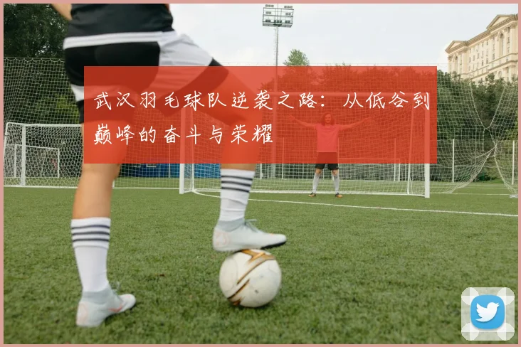 武汉羽毛球队逆袭之路：从低谷到巅峰的奋斗与荣耀