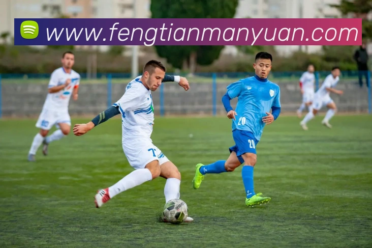 未来规划